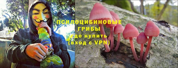 ПСИЛОЦИБИНОВЫЕ ГРИБЫ Володарск