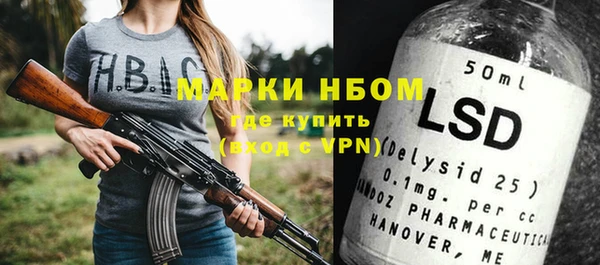 молекула духа Богородицк