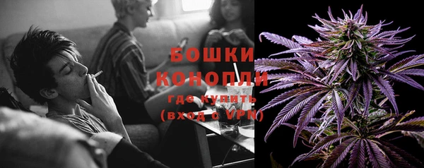PSILOCYBIN Протвино